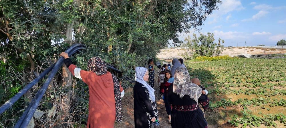  ADWAR celebrates the  Palestinian Women National Day among the olive trees